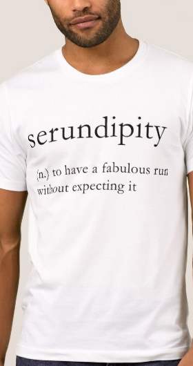 Serundipity Men's Shirt