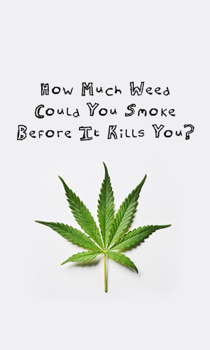 So, they always say that smoking weed is bad for you. But just how much of it can you smoke before to kills you. Find the answer here.