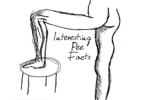 Interesting Pee Facts