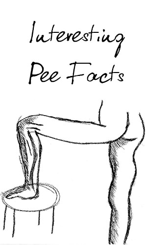 Ever wondered if there was more to your pee than just being a bodily excrement? Well, urine luck. For your benefit, we've put together a golden list of interesting urine facts that you probably didn't know about. 