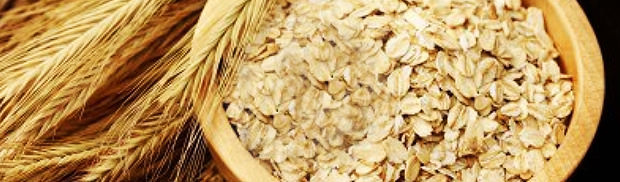 bowl of oats