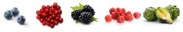 Antioxidant Foods