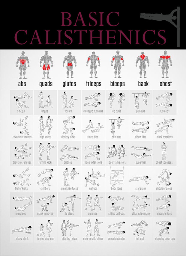 6 Day Calisthenics workout plan pdf 