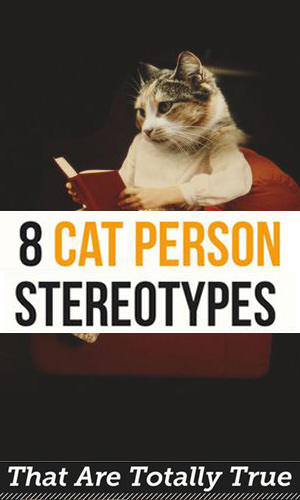Do you consider yourself a cat person? Or do you know someone who fits that description? Read on to find out the traits that nearly all cat lovers have in common.