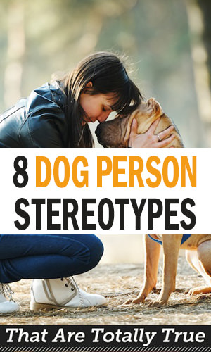 While being a dog person or a cat person doesn't necessarily fit a particular formula, there is some science that helps define and explain the differences between these two personality types. Read on to find out if your personality matches up.