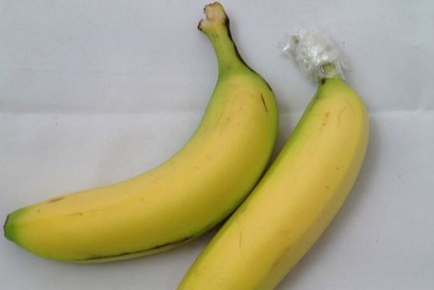Give bananas a longer life