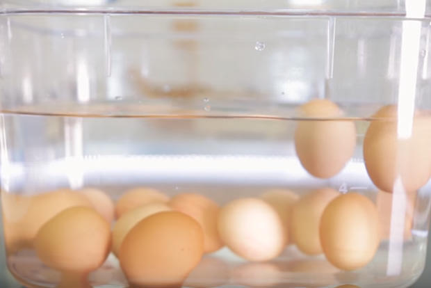 Check if eggs are still (incredibly) edible