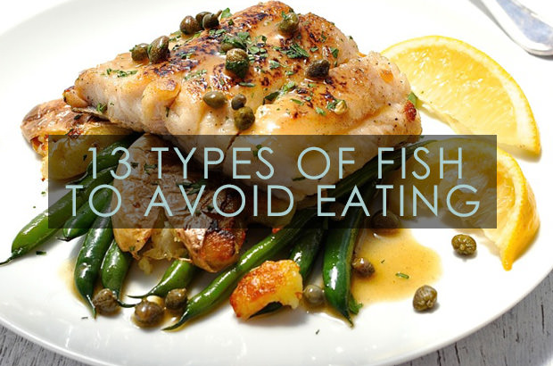 13 Types Of Fish To Avoid Eating