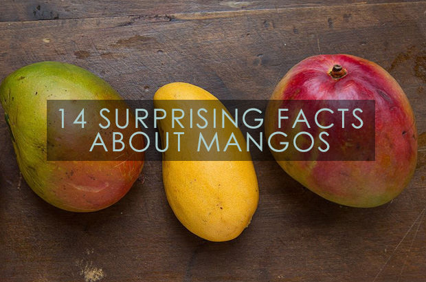 14 Surprising Facts About Mangos
