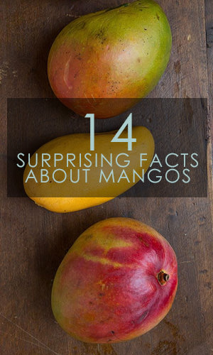 Mangos are true superfruits, based on their all-star nutritional profile and several research studies that reveal their health-promoting properties. Read on to learn 14 surprising facts that might make you mad for mangoes.