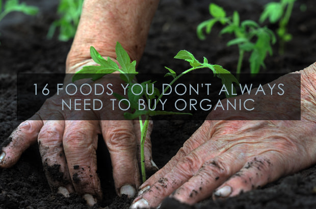 16 Foods You Do Not Always Need To Buy Organic