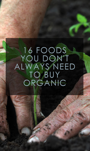 Going organic comes at a cost and it's not one all people can afford. So where do you compromise? Read on to find out which foods are less likely to contain a significant amount of pesticide residue, and are therefore safest to purchase as conventional.