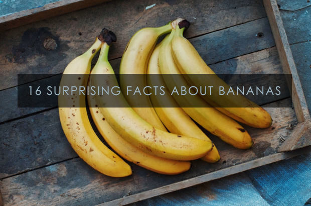 16 Surprising Facts About Bananas