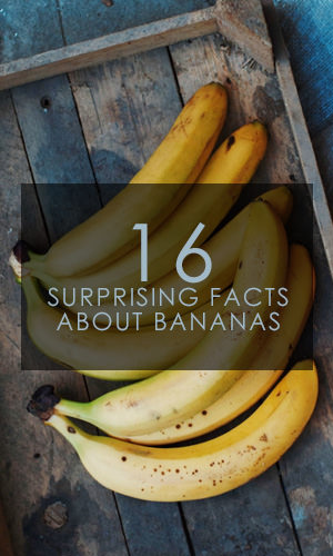 Bananas are one of America's favorite fruits, with some 96 percent of consumers reporting buying bananas last year. Read on to find out who invented the banana split, why bananas are 37 percent cheaper than they were in 1980, and whether it is really true that bananas (as we know them) may become extinct in our lifetimes.