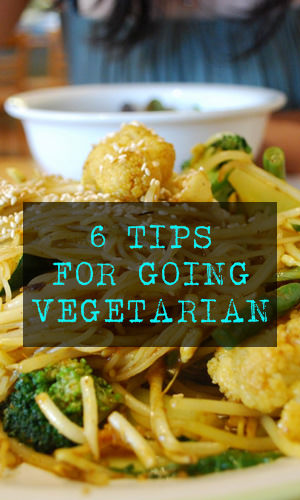 There are many reasons that one would choose to be vegetarian. The media is filled with medical and societal reasons that would push you to make the change. Here are a few tips that may help you with the transition into vegetarian living.