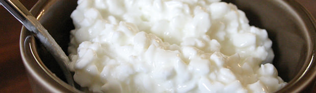 Bowl of Cottage Cheese