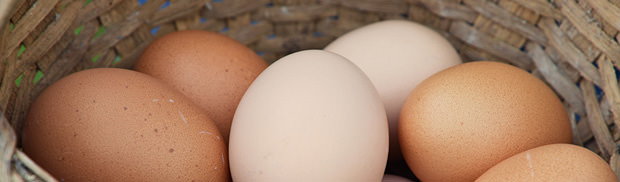 basket of eggs