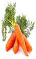 carrots