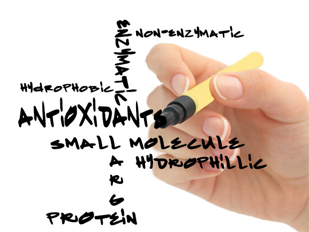 antioxidants marker