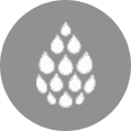 droplet