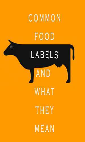 Today, a bewildering range of terms and claims are used to promote and label the food we buy. But what exactly do all these terms and claims really mean &ndash; and how can you be confident that they are true? This guide will help you understand the jargon a little better and steer clear of the deceptive ones.