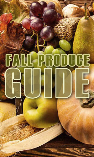 As the weather starts to get colder and the leaves start to fall, new produce can be seen all around your local farmer's market. Here's a guide of what to look for this fall.