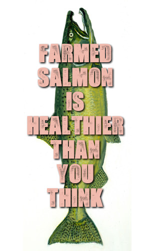 As a rule of thumb, always go natural where possible. And the same applied when choosing wild salmon over farmed salmon. The latest health studies however reveal that farmed salmon may actually be better than wild salmon in a number of ways.