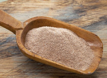 Fun Facts About Teff