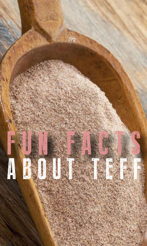 Teff, because of its amazing nutritional profile, has taken the health world by storm. But there's a lot more to this supergrain that will intrigue you. Here are some fun facts we thought you'd find interesting.
