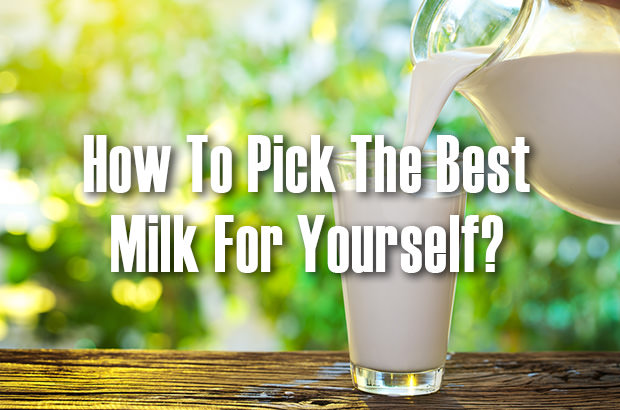 How to Pick the Best Milk for Yourself