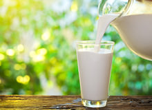 How To Pick The Best Milk For Yourself