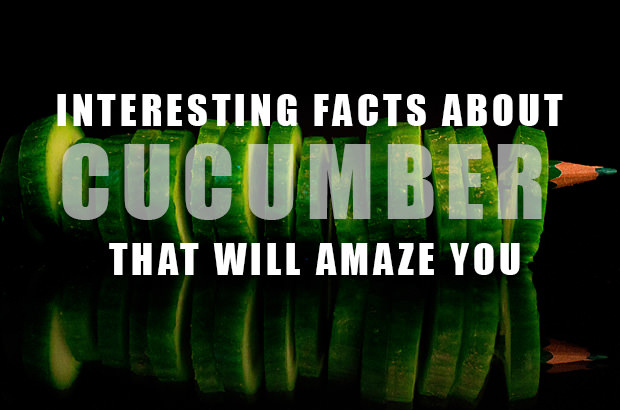 Interesting Facts About Cucumbers That Will Amaze You