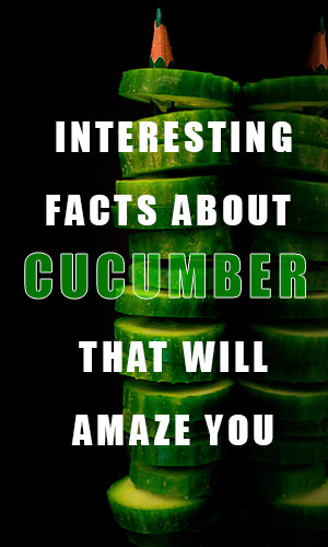 Turns out that cucumber isn't just for placing over your eyes while you get a facial. Here are some fun and surprising facts about them that you never knew.