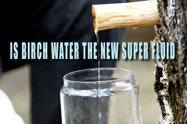 Is Birch Water The New Super Fluid