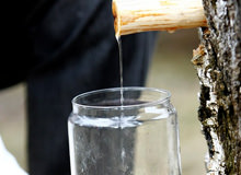 Is Birch Water The New Super Fluid?