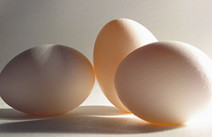 Eggs