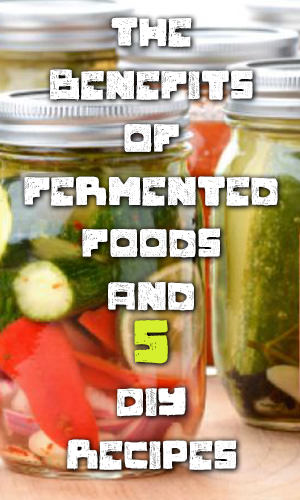 Fermented foods are certainly all the rage and for good reason. But what are they exactly, and why are they gaining such attention? Read on to learn more about them.