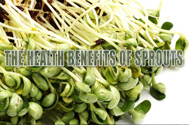 The Health Benefits of Sprouts