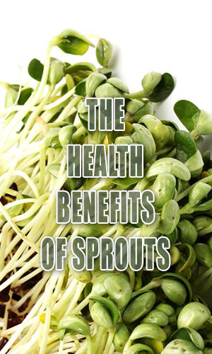 Although we most often eat ungerminated varieties, all plant seeds, nuts and vegetable seeds are able to sprout new plants. The nutritional profile of sprouted foods is superior in some ways to that of their unsprouted counterparts. Read on to find out what they are.