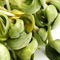 The Health Benefits Of Sprouts