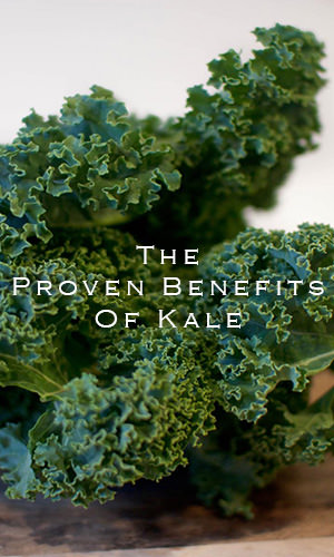 Kale is a leafy green that appears on many lists of trendy superfoods, and probably with good reason. It is highly nutritious, containing high levels of vitamins, minerals, and brain-boosting phytonutrients. Read on for its benefits.