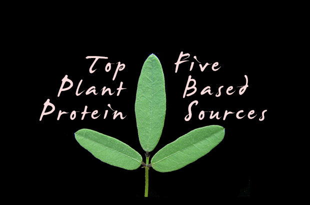 Top Five Plant-Based Protein Sources