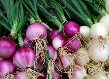 Which Is Healthier? Red Or White Onions