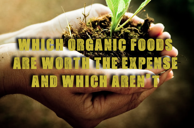 Which Organic Foods Are Worth The Expense And Which Aren't