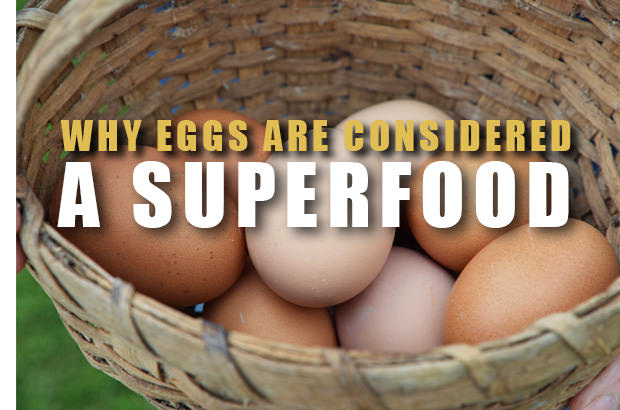 Why Eggs Are Considered A Superfood