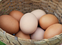 Why Eggs Are Considered A Superfood