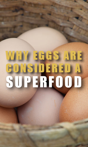 Eggs have a nutritional profile that is hard to match. They are loaded with nutrients, some of which are rare in the modern diet.