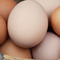 Why Eggs Are Considered A Superfood