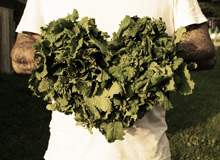 Why Kale Is Good For Your Heart