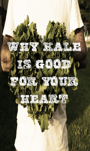 Kale is packed with nutrition that puts it high on the list of the world's healthiest foods. Of the many benefits you can reap from eating kale, the one we will be looking at today is its impact on heart health.